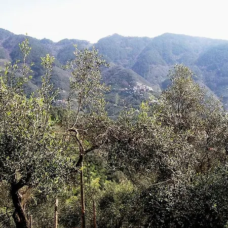 Penny Lane * Levanto